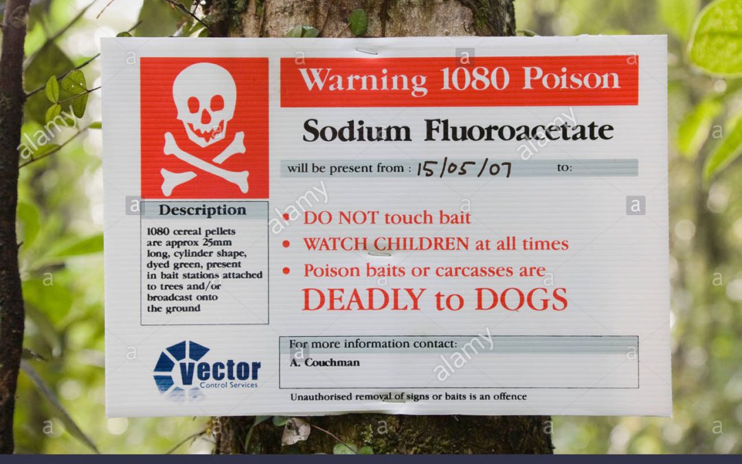 Protégé : Décès pédiatrique par fluoroacétate de Na