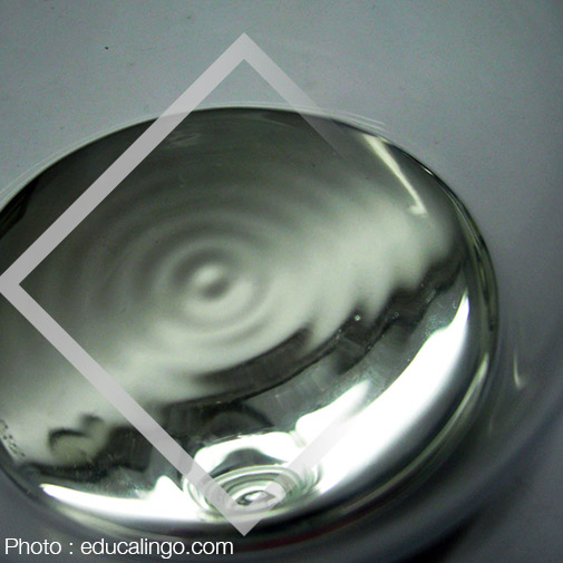 Protégé : Elemental mercury exposure: An evidence-based consensus guideline for out-of-hospital management