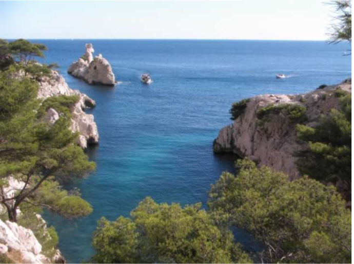 Protégé : Prise en charge et traitement des envenimations marines