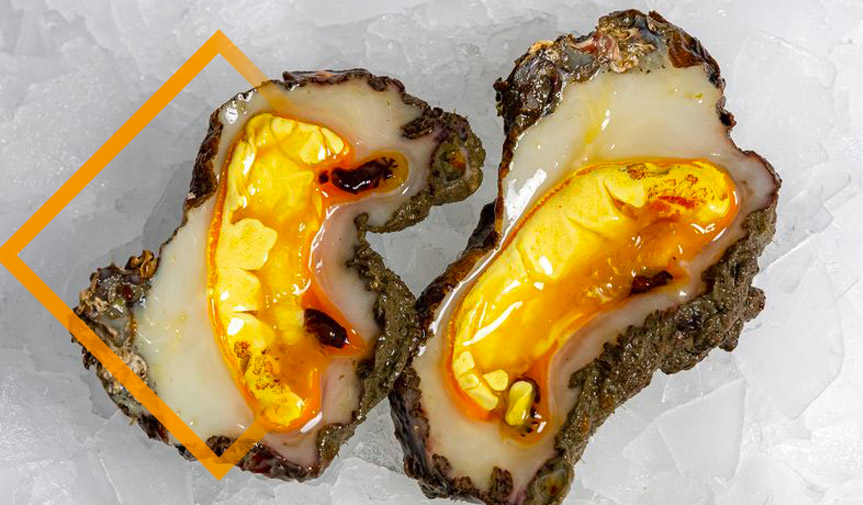 Protégé : Syndrome cérébelleux après ingestion de violets