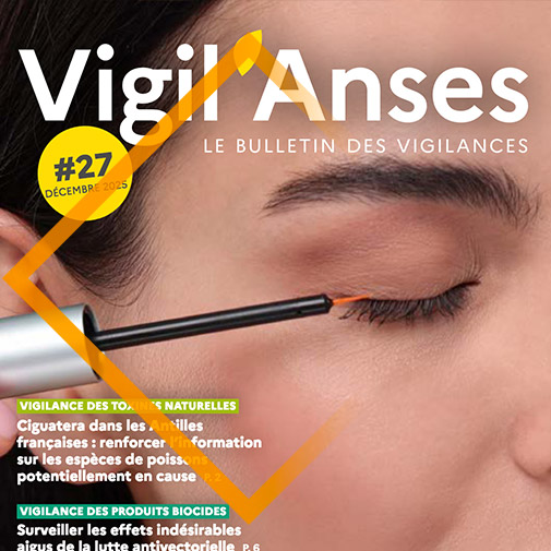 Vigil’Anses No. 27